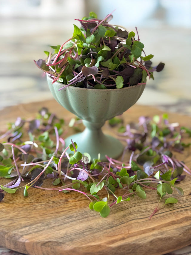 Confetti Radish Mix