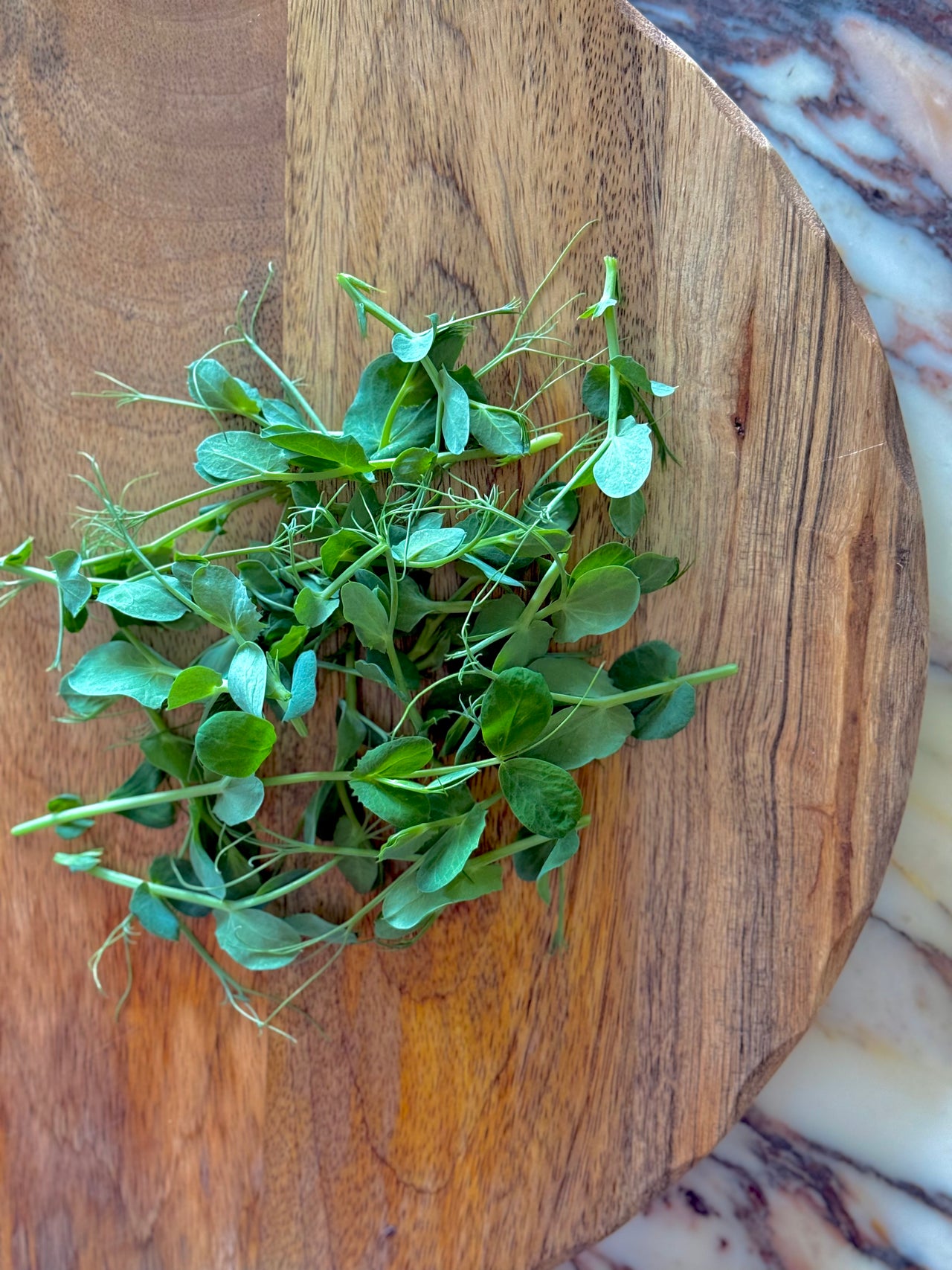 Pea Tendrils