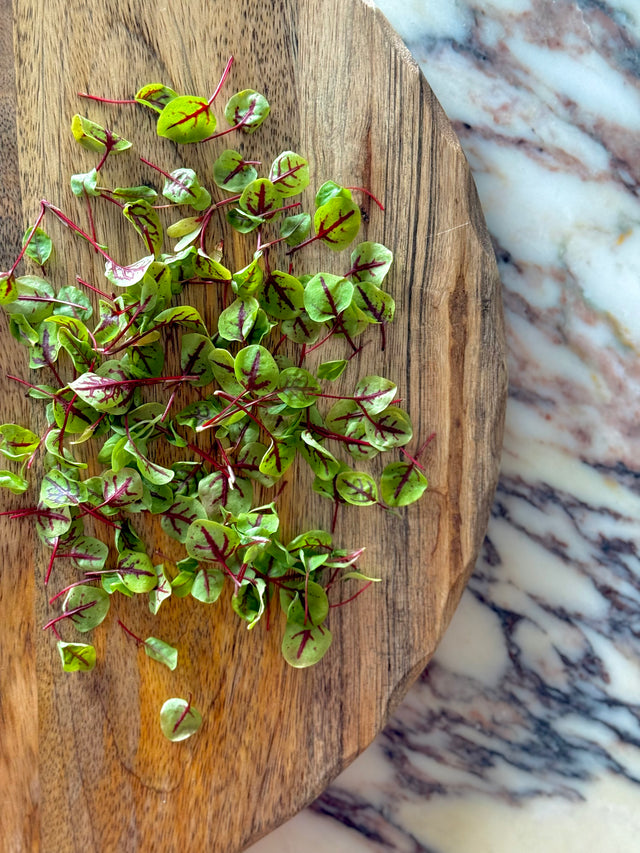 Sorrel