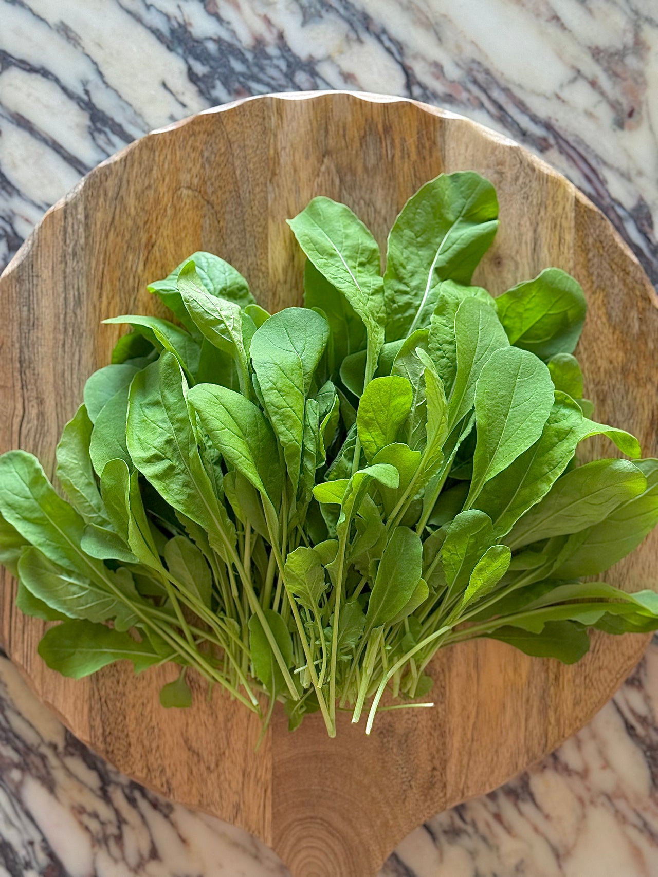 Arugula