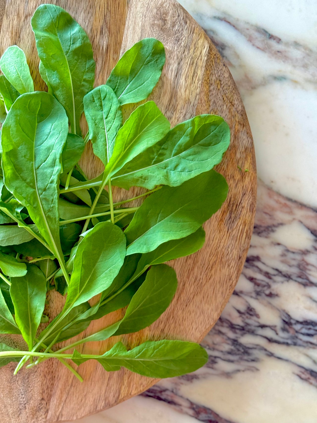 Arugula