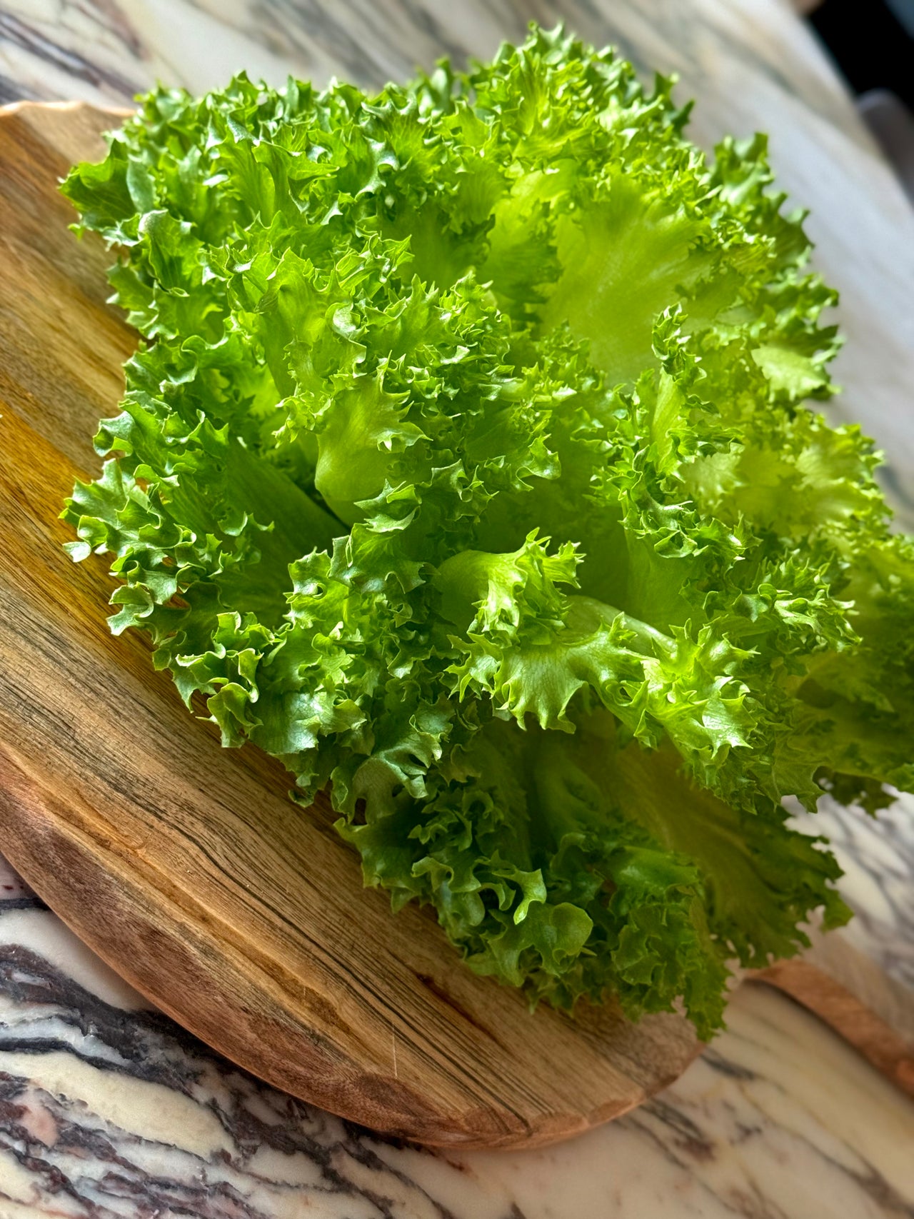 Le Roots Premium Urban Farm