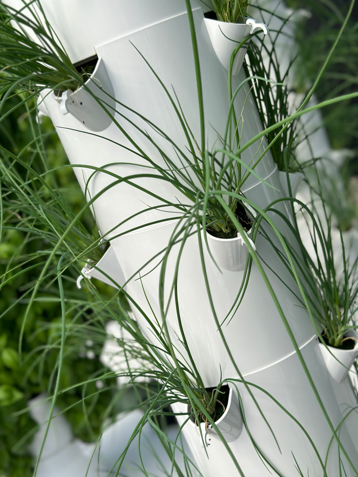 Le Roots Premium Urban Farm